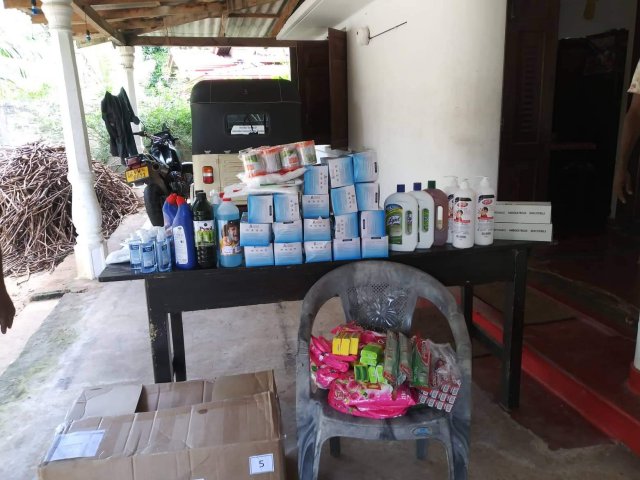 ngo 2